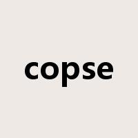 copse是什么意思