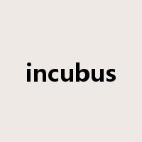 incubus是什么意思