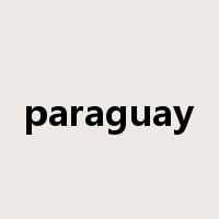 paraguay是什么意思