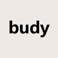 budy是什么意思