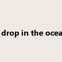 a drop in the ocean是什么意思