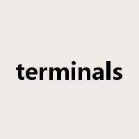 terminals是什么意思