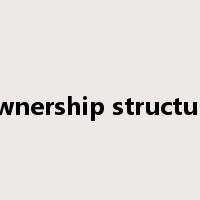 ownership structure是什么意思