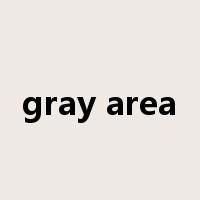 gray area是什么意思