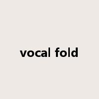 vocal fold是什么意思