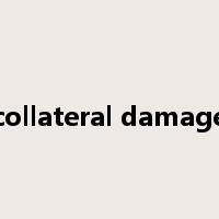 collateral damage是什么意思