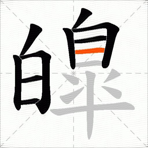 皥