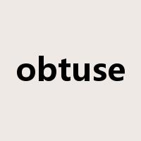 obtuse是什么意思