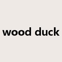 wood duck是什么意思