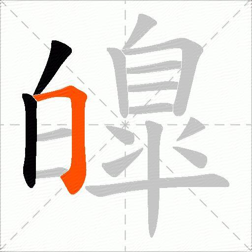 皥