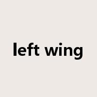 left wing是什么意思