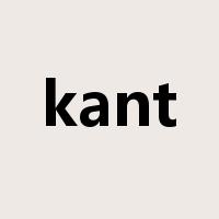 kant是什么意思