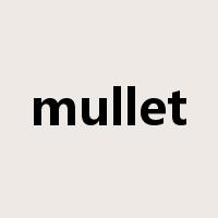 mullet是什么意思