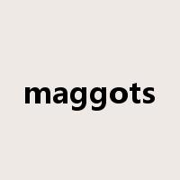maggots是什么意思