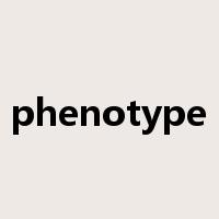 phenotype是什么意思