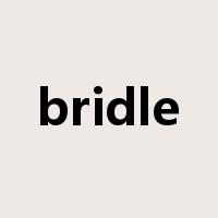 bridle是什么意思
