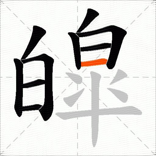 皡