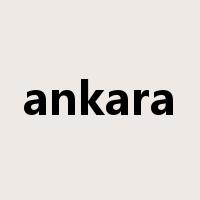ankara是什么意思