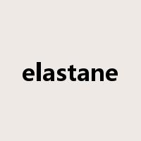 elastane是什么意思