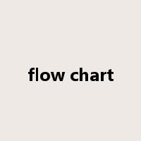flow chart是什么意思