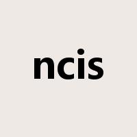 ncis是什么意思