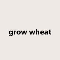 grow wheat是什么意思