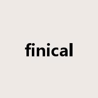 finical是什么意思