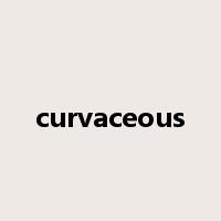 curvaceous是什么意思