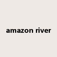 amazon river是什么意思