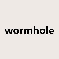 wormhole是什么意思