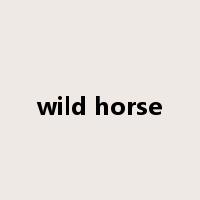 wild horse是什么意思