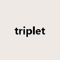 triplet是什么意思