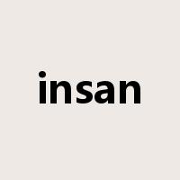insan是什么意思