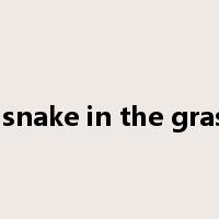a snake in the grass是什么意思