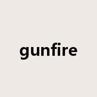 gunfire是什么意思