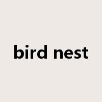 bird nest是什么意思