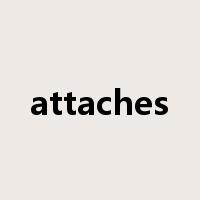 attaches是什么意思