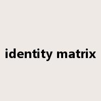 identity matrix是什么意思