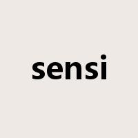 sensi是什么意思