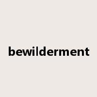 bewilderment是什么意思