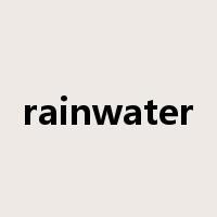 rainwater是什么意思