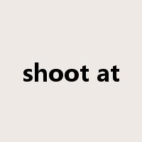 shoot at是什么意思