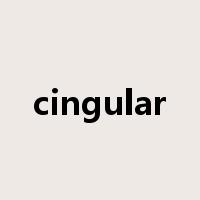 cingular是什么意思