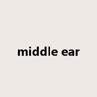 middle ear是什么意思