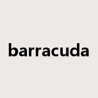 barracuda是什么意思