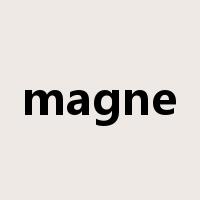 magne是什么意思