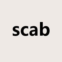 scab是什么意思