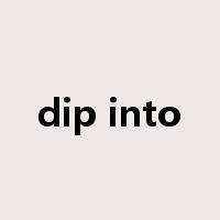 dip into是什么意思