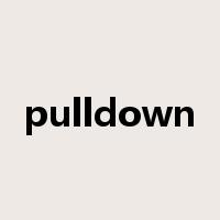 pulldown是什么意思