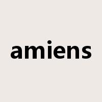 amiens是什么意思